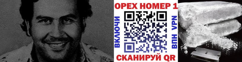 COCAIN Fish Scale  Купить закладки  Соликамск 