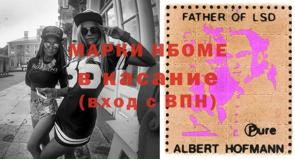 индика Зеленокумск