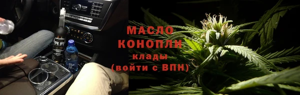 индика Зеленокумск