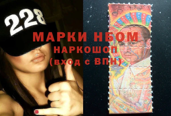 индика Зеленокумск