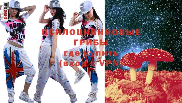 индика Зеленокумск