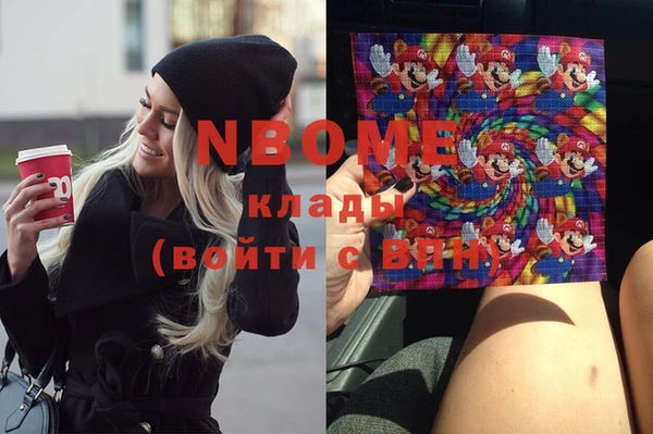 индика Зеленокумск
