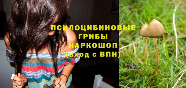 ALPHA PVP Зеленодольск