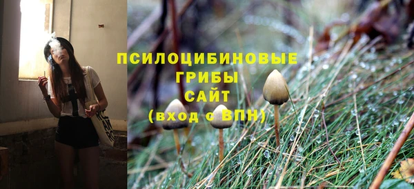 молекула духа Зерноград