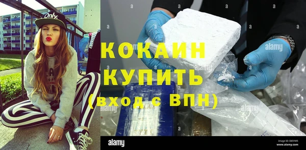 индика Зеленокумск