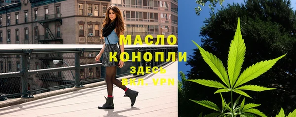 индика Зеленокумск