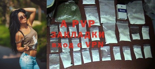 индика Зеленокумск