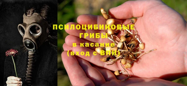 ALPHA PVP Зеленодольск