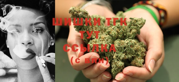 индика Зеленокумск