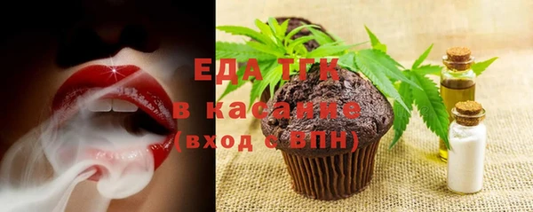 индика Зеленокумск