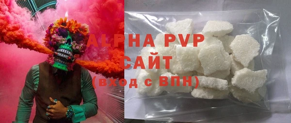 индика Зеленокумск